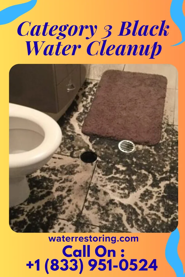 Category 3 Black Water Cleanup in Winchester, KS